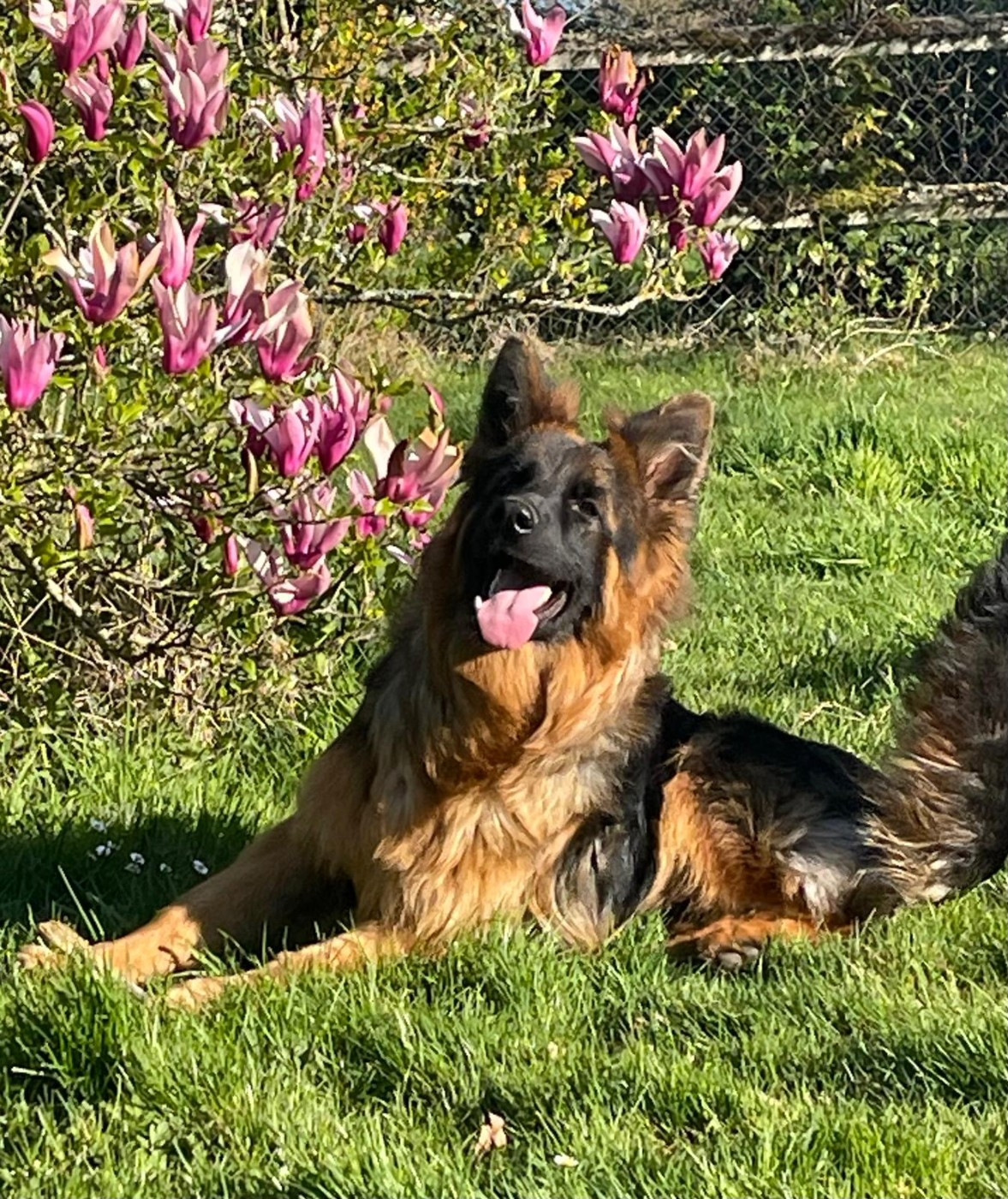 ULOTTE Elevage du Domaine de Chadadias